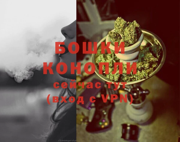 ECSTASY Покачи