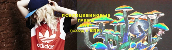 ECSTASY Покачи