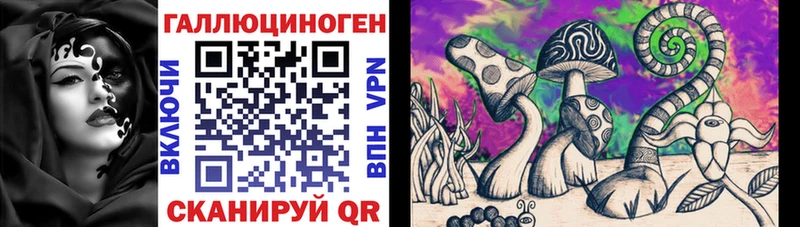 Купить  Реутов  Галлюциногенные грибы прущие грибы 